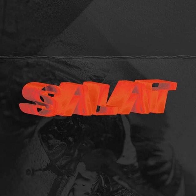 Salat Party Logo