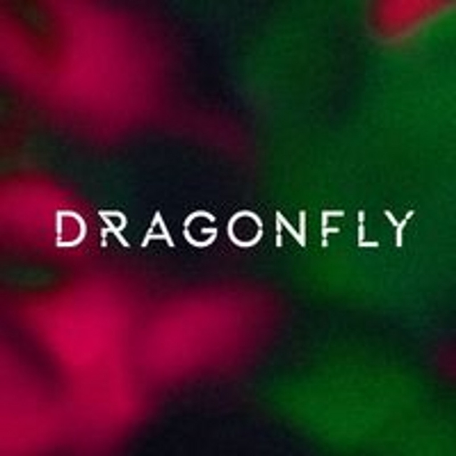 Dragonfly Logo