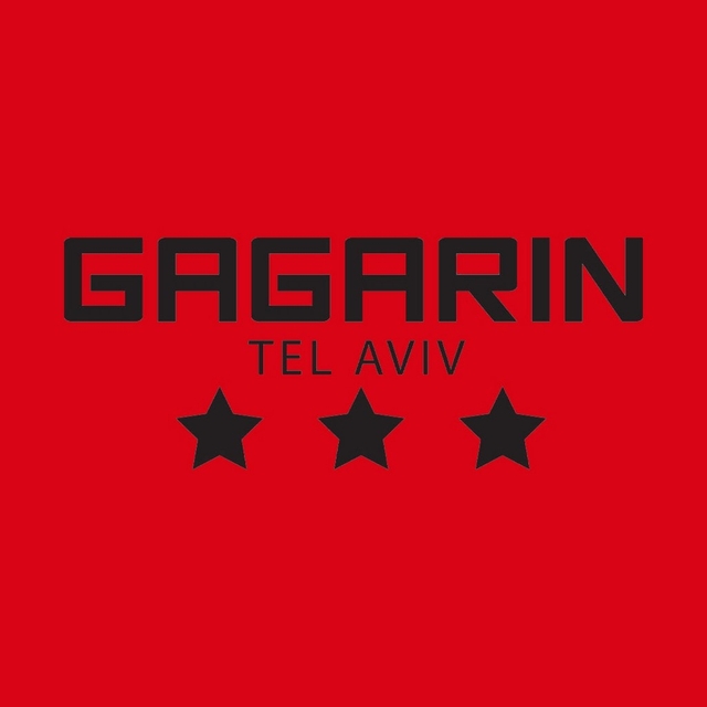 Gagarin Logo